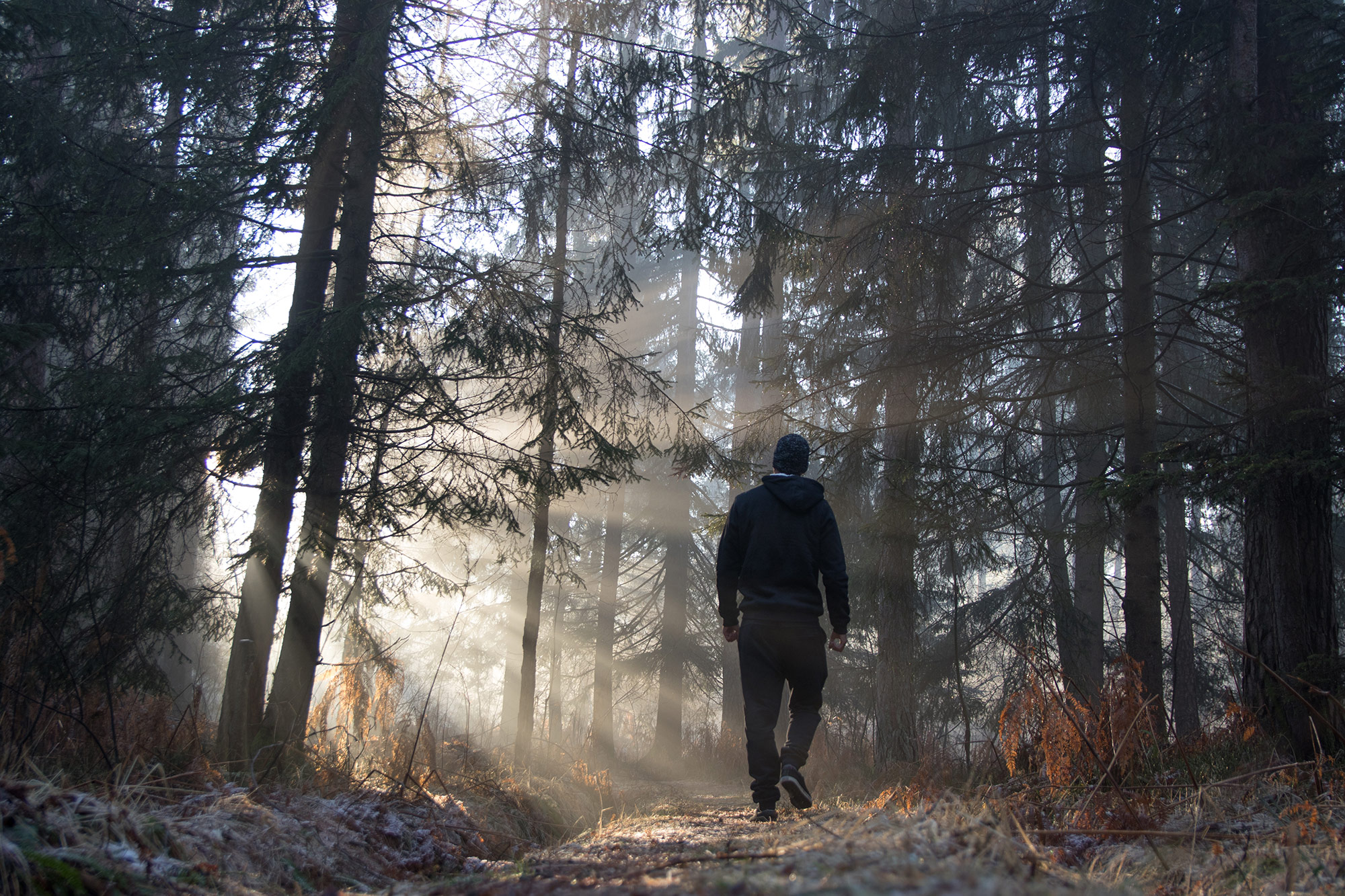 “You did not choose me but I chose you”