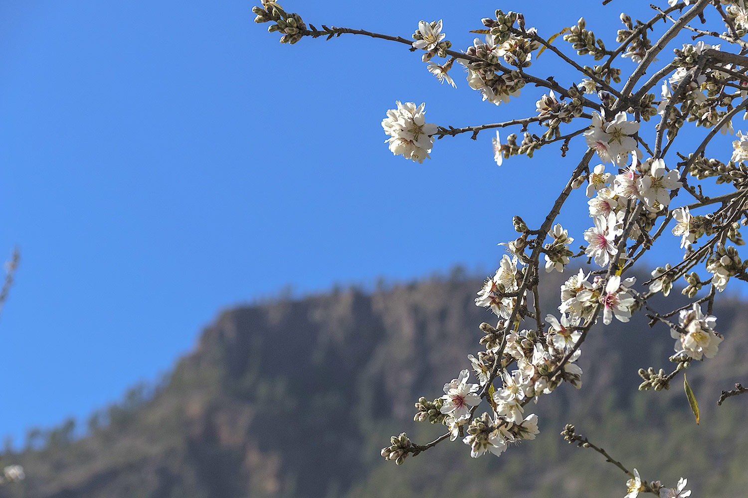 The Last Events and Eternity