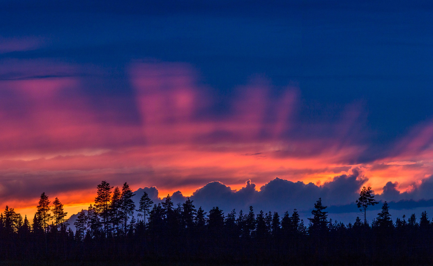 Predestination – am I one of God’s chosen people?