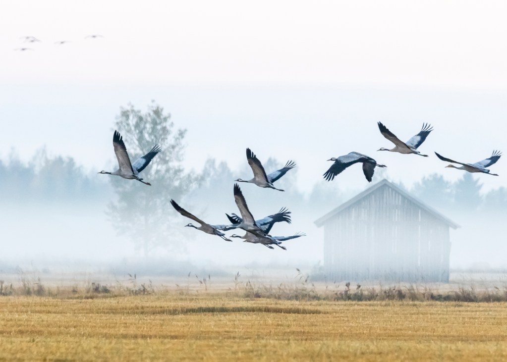 True freedom is freedom from sin, not the freedom to sin